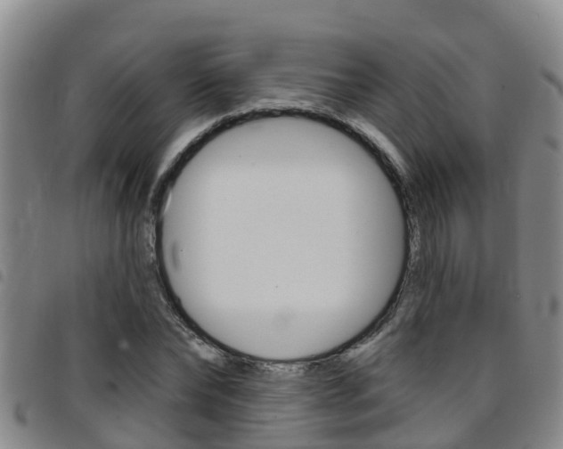 X0000097870878200803140915