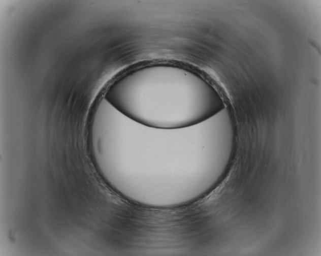 X0000097870879200803140915