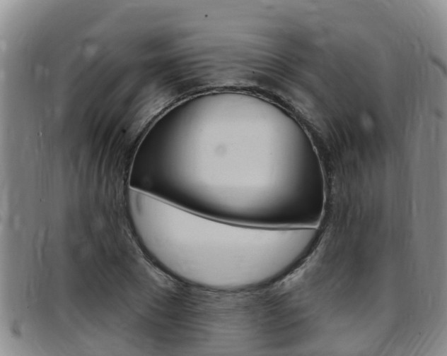 X0000097870881200803140915