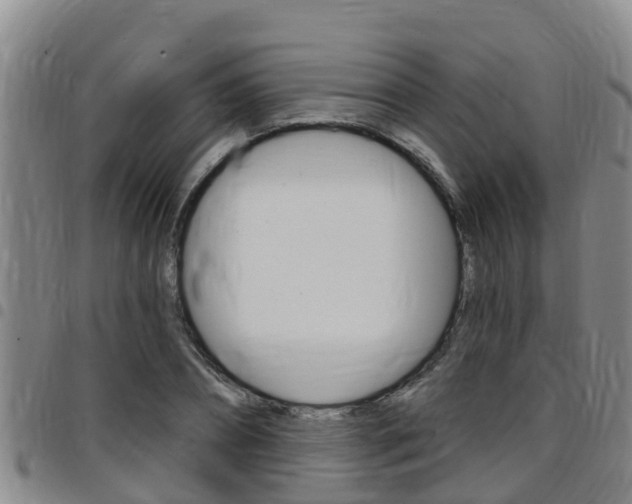 X0000097870882200803140915