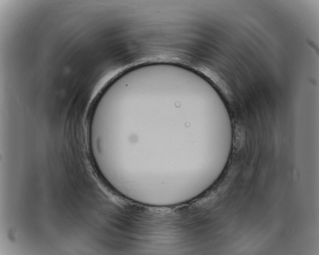 X0000097870886200803140915