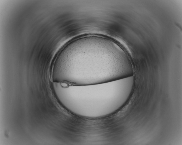 X0000097870887200803140915