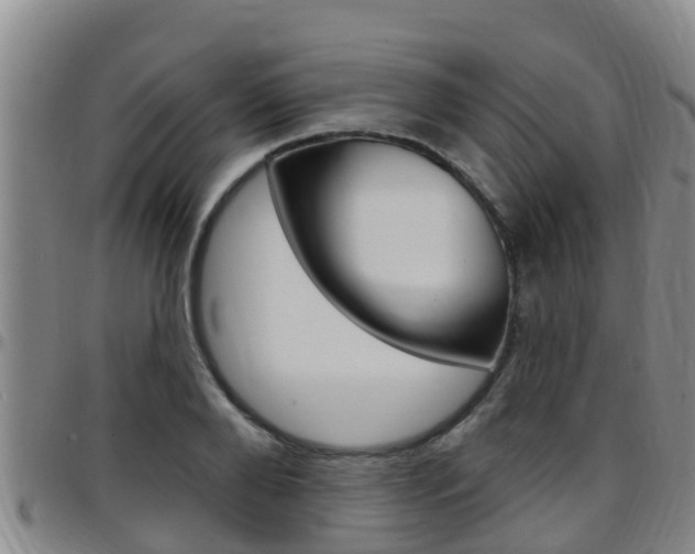 X0000097870888200803140915