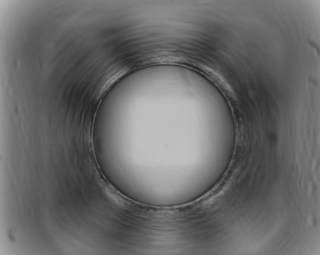 X0000097870889200803140915