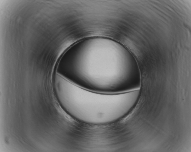 X0000097870892200803140915