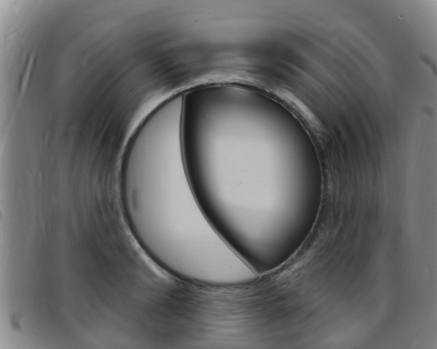 X0000097870894200803140915