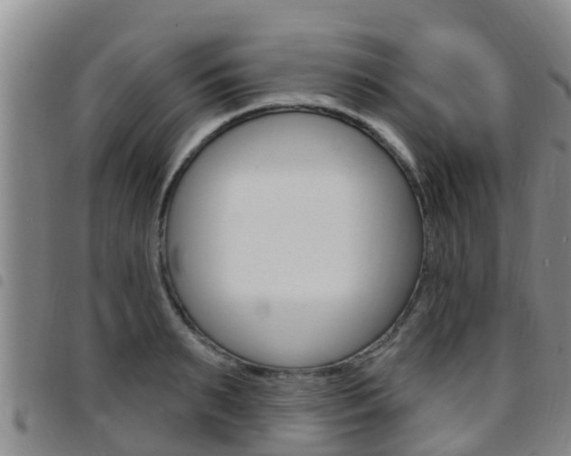 X0000097870895200803140915