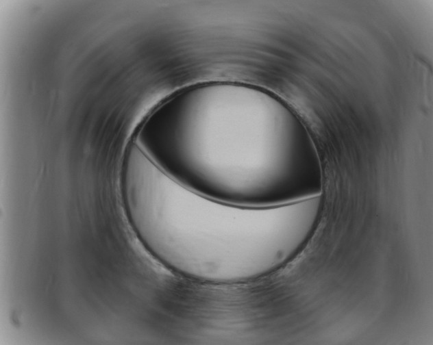 X0000097870896200803140915