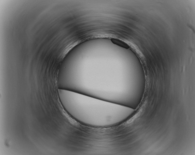 X0000097870897200803140915