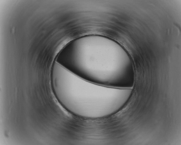 X0000097870898200803140915