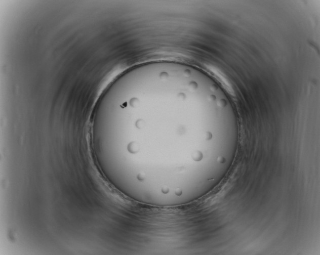 X0000097870899200803140915