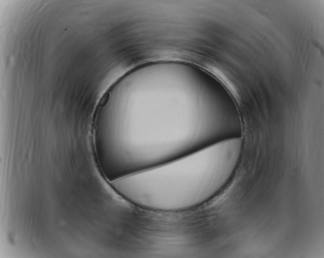 X0000097870901200803140915