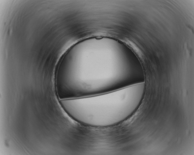 X0000097870902200803140915