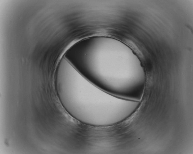 X0000097870908200803140915