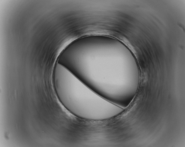 X0000097870909200803140915