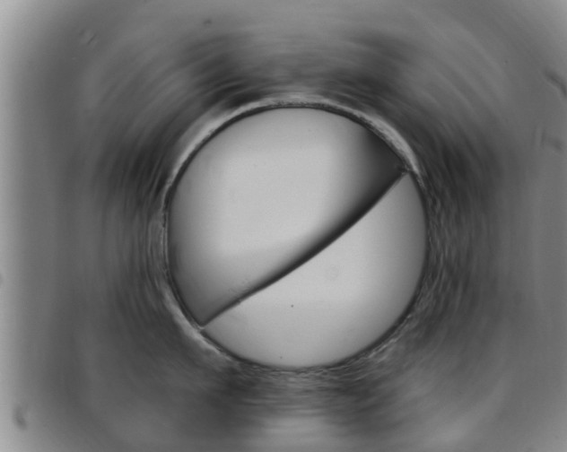 X0000097870911200803140915