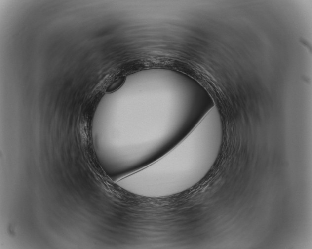 X0000097870915200803140914
