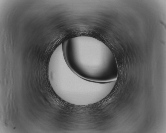 X0000097870916200803140914