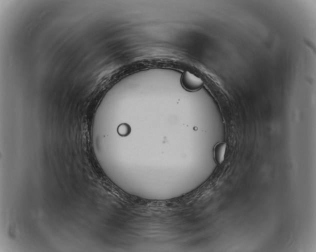 X0000097870918200803140914