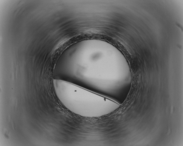 X0000097870919200803140914