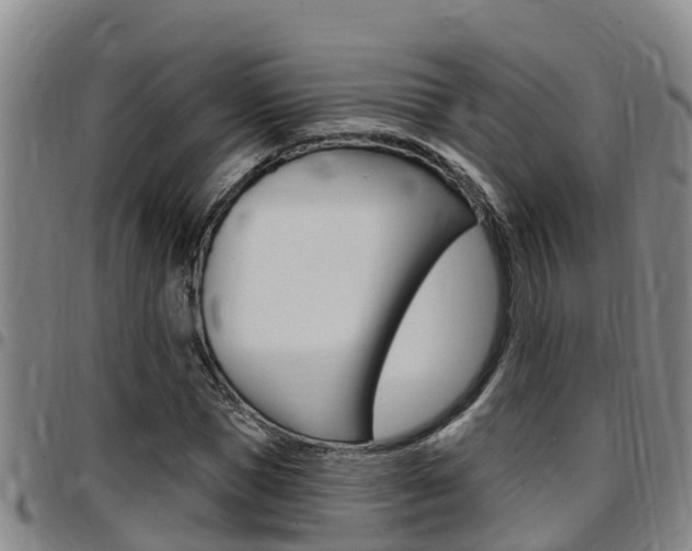 X0000097870921200803140914