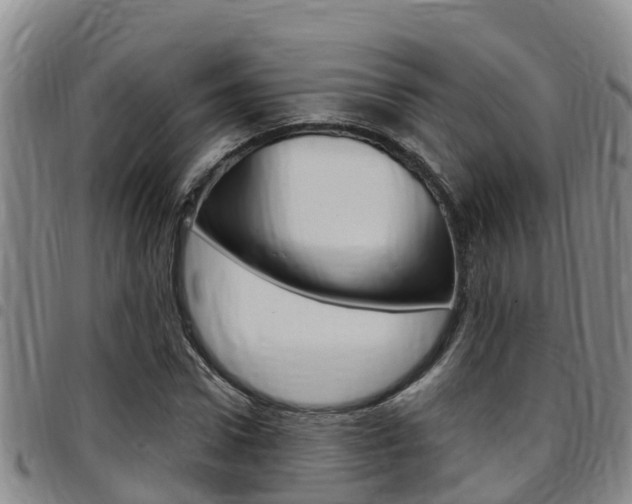 X0000097870922200803140914