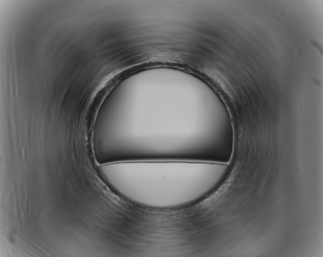 X0000097870923200803140914
