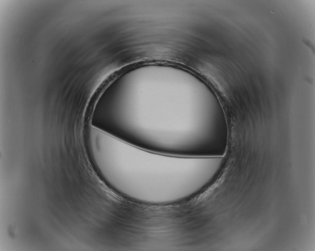 X0000097870924200803140914