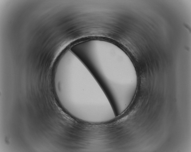 X0000097870926200803140915