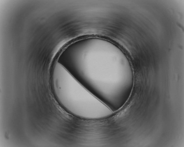 X0000097870927200803140915