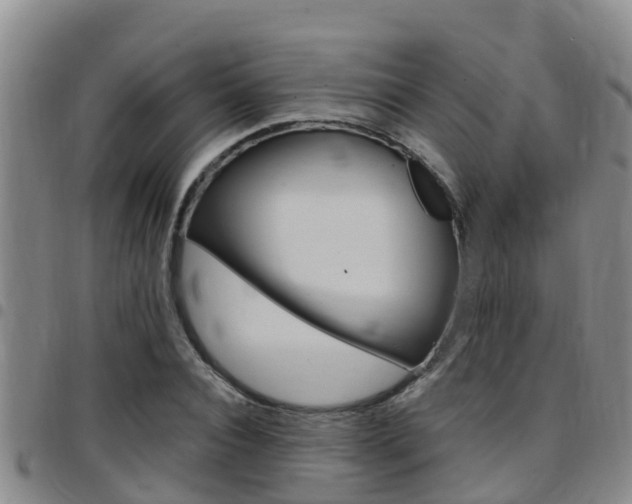 X0000097870928200803140915