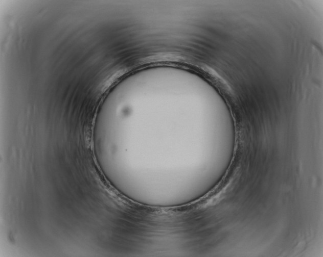 X0000097870929200803140915