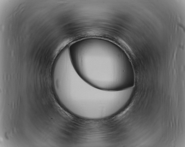 X0000097870930200803140915