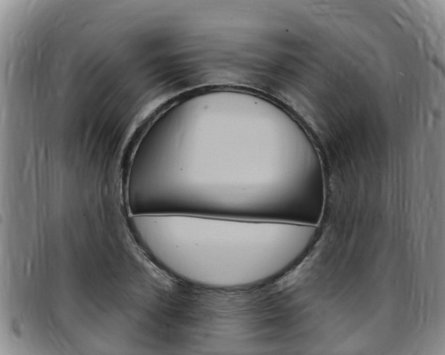 X0000097870931200803140915