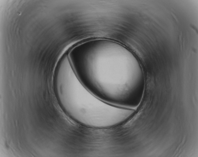 X0000097870932200803140915