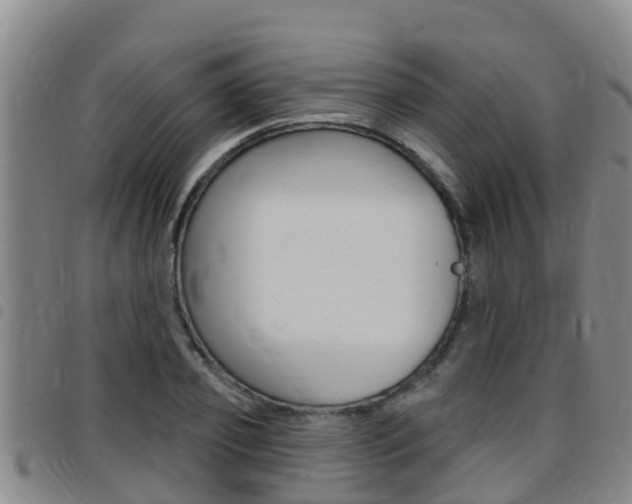 X0000097870933200803140915