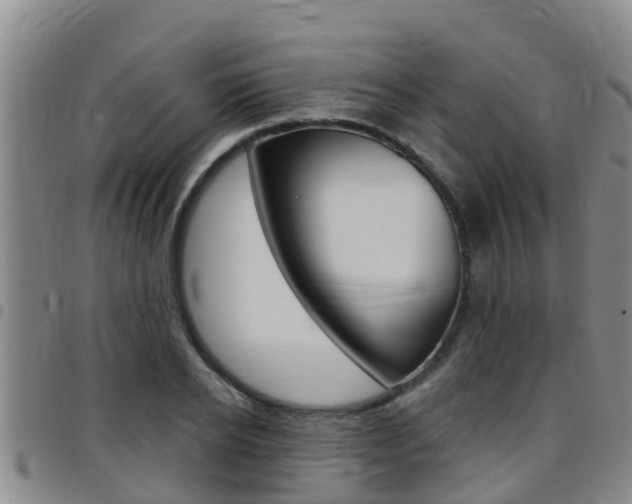 X0000097870934200803140915