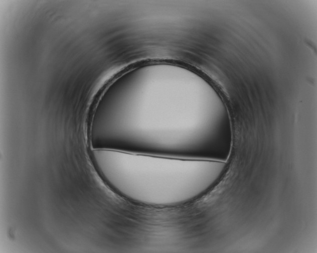 X0000097870935200803140915