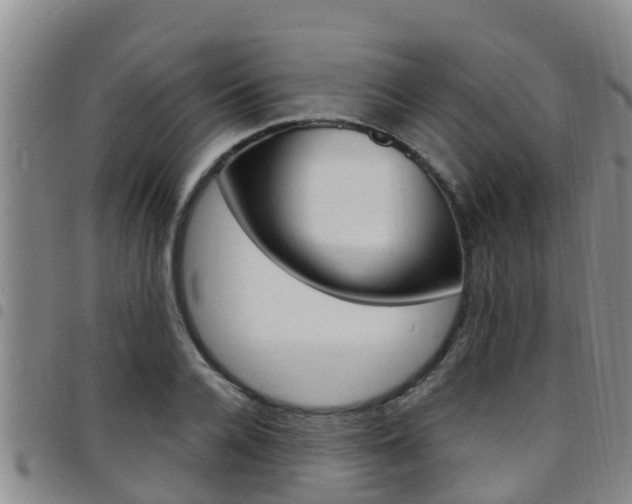 X0000097870936200803140915