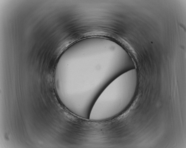 X0000097870937200803140915