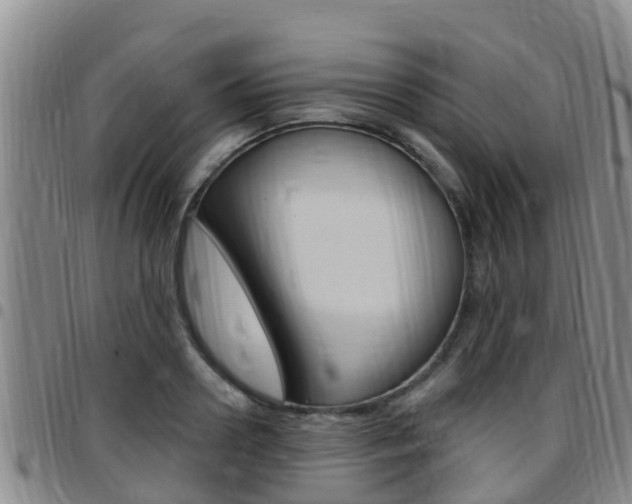 X0000097870938200803140915