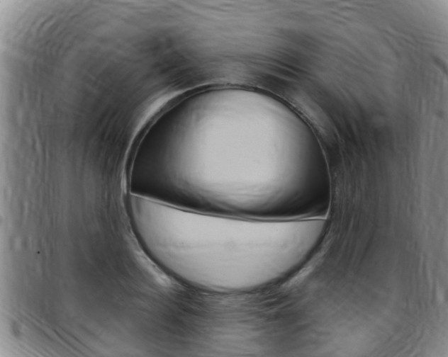 X0000097870940200803140915