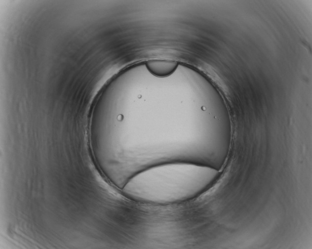 X0000097870941200803140915