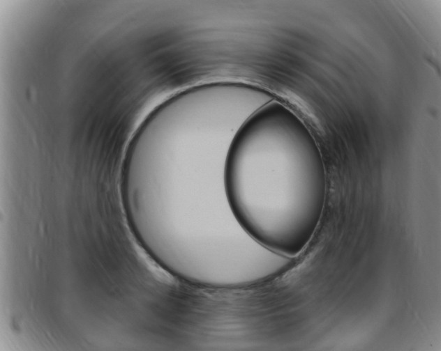 X0000097870942200803140915