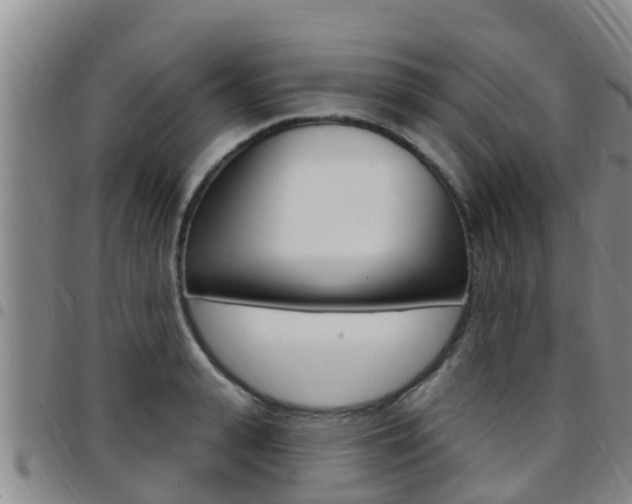 X0000097870943200803140915