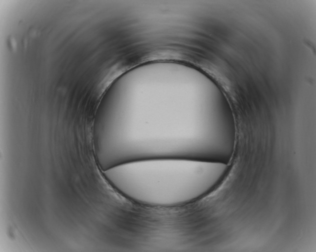 X0000097870945200803140915