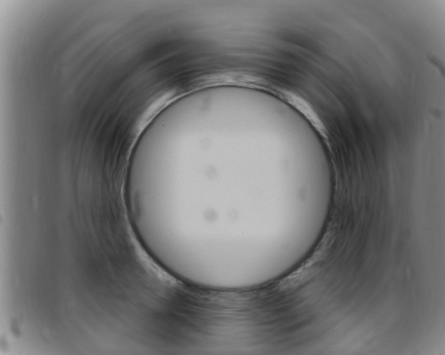 X0000097870946200803140915