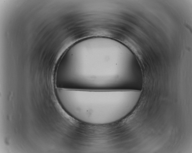 X0000097870947200803140915