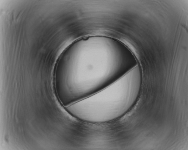 X0000097870949200803140915