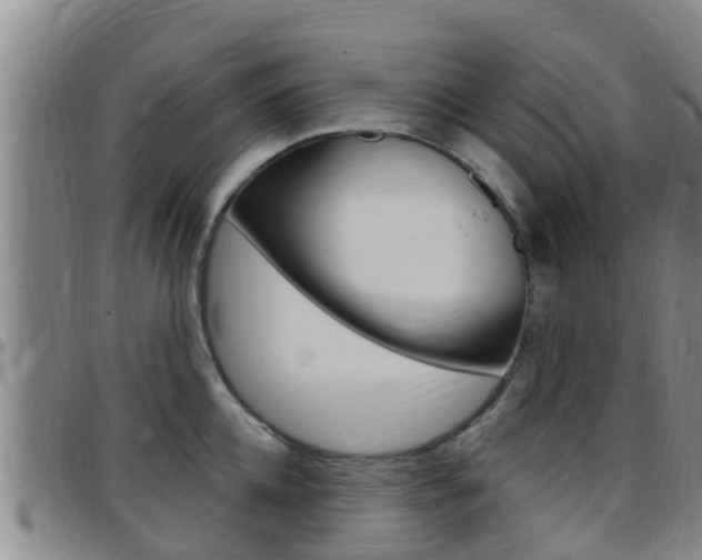 X0000097870952200803140915